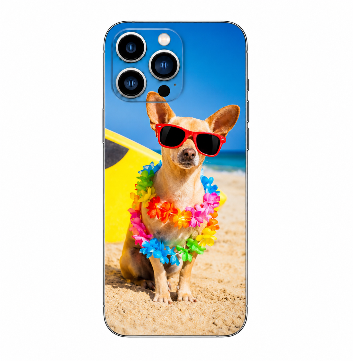 Cover Chiwawa