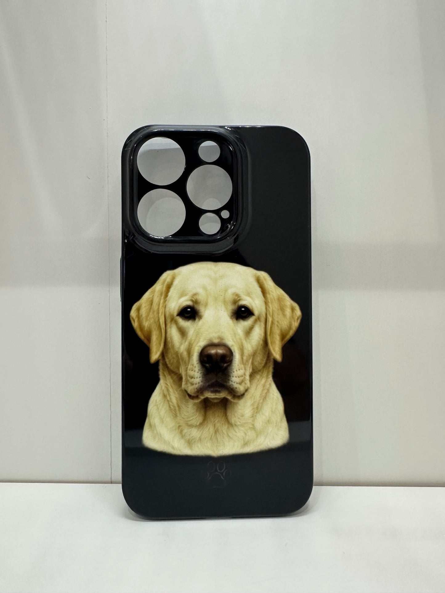 Cover Labrador