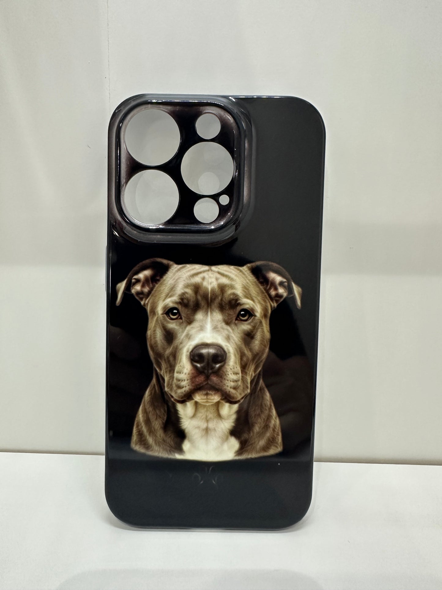 Cover Pitbull
