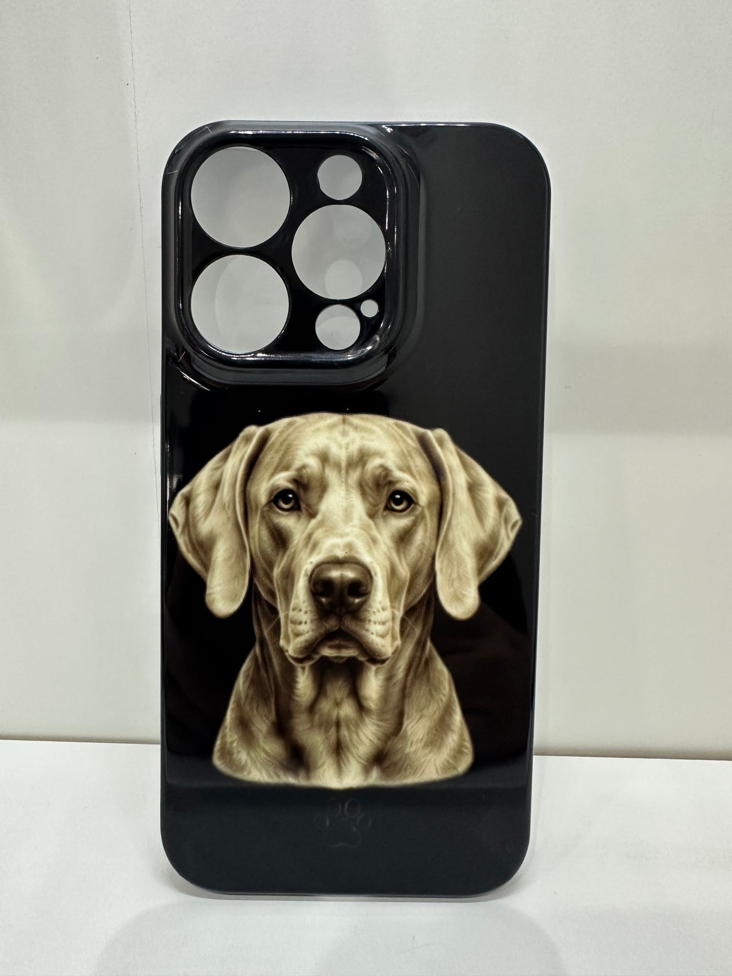 Cover Weimaraner