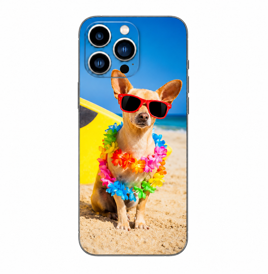 Cover Chiwawa