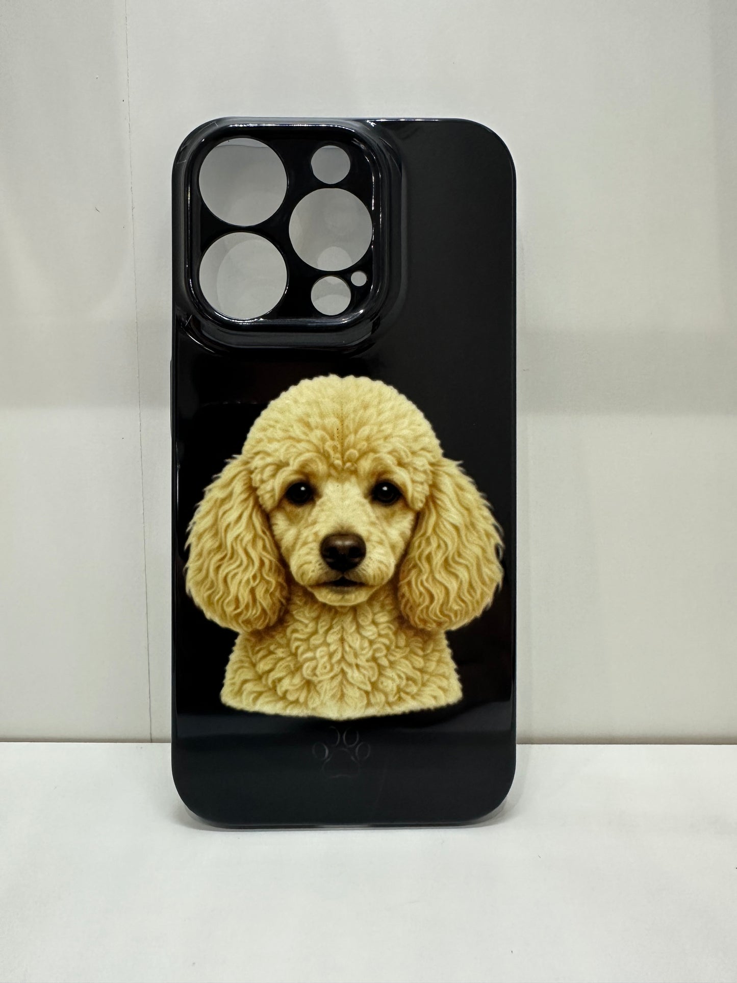 Cover Barboncino